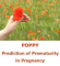 poppylogo60x60px